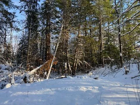 Photo 30 of 17556 Highway 62, Madoc — HOMEH