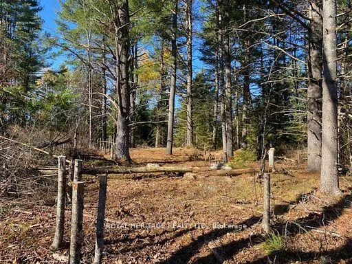 Photo 31 of 17556 Highway 62, Madoc — HOMEH