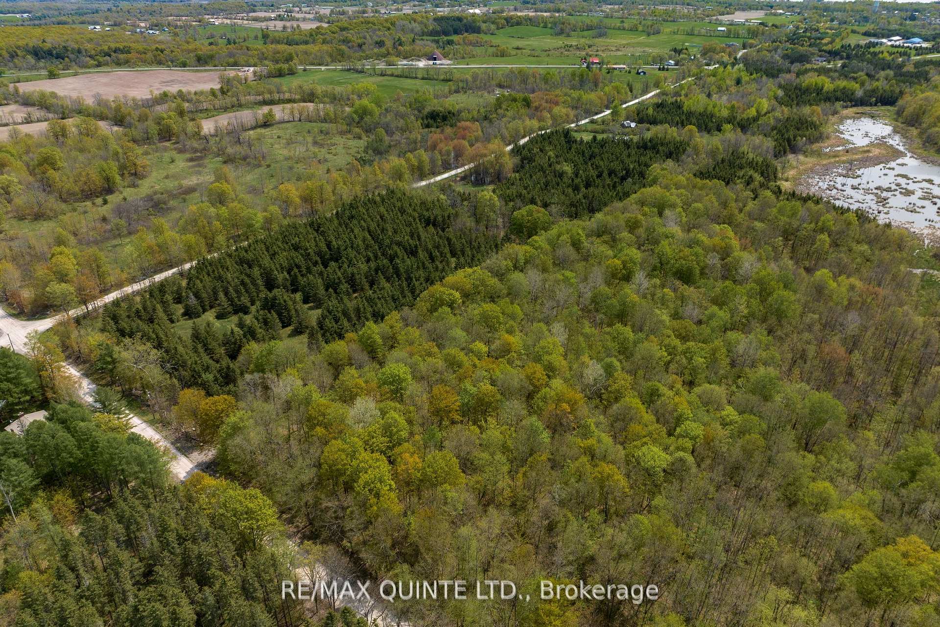 Photo 4 of 214 Riggs Road, Madoc — HOMEH