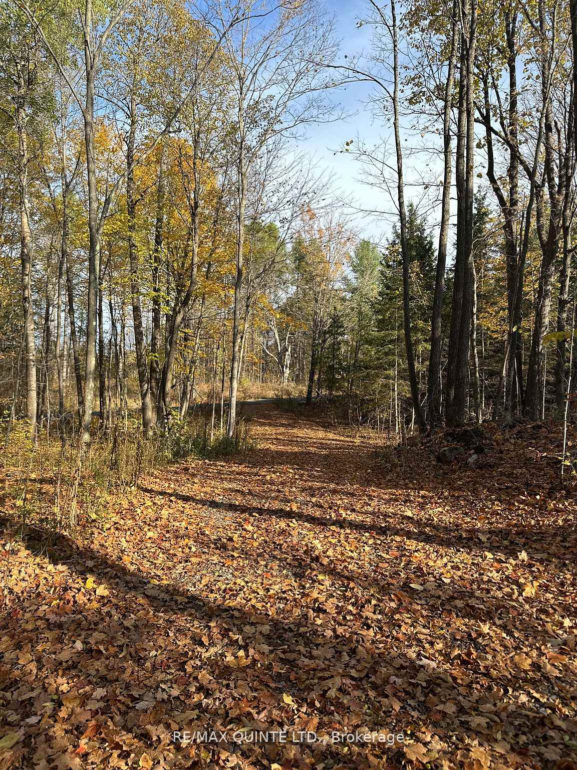 Photo 6 of 214 Riggs Road, Madoc — HOMEH