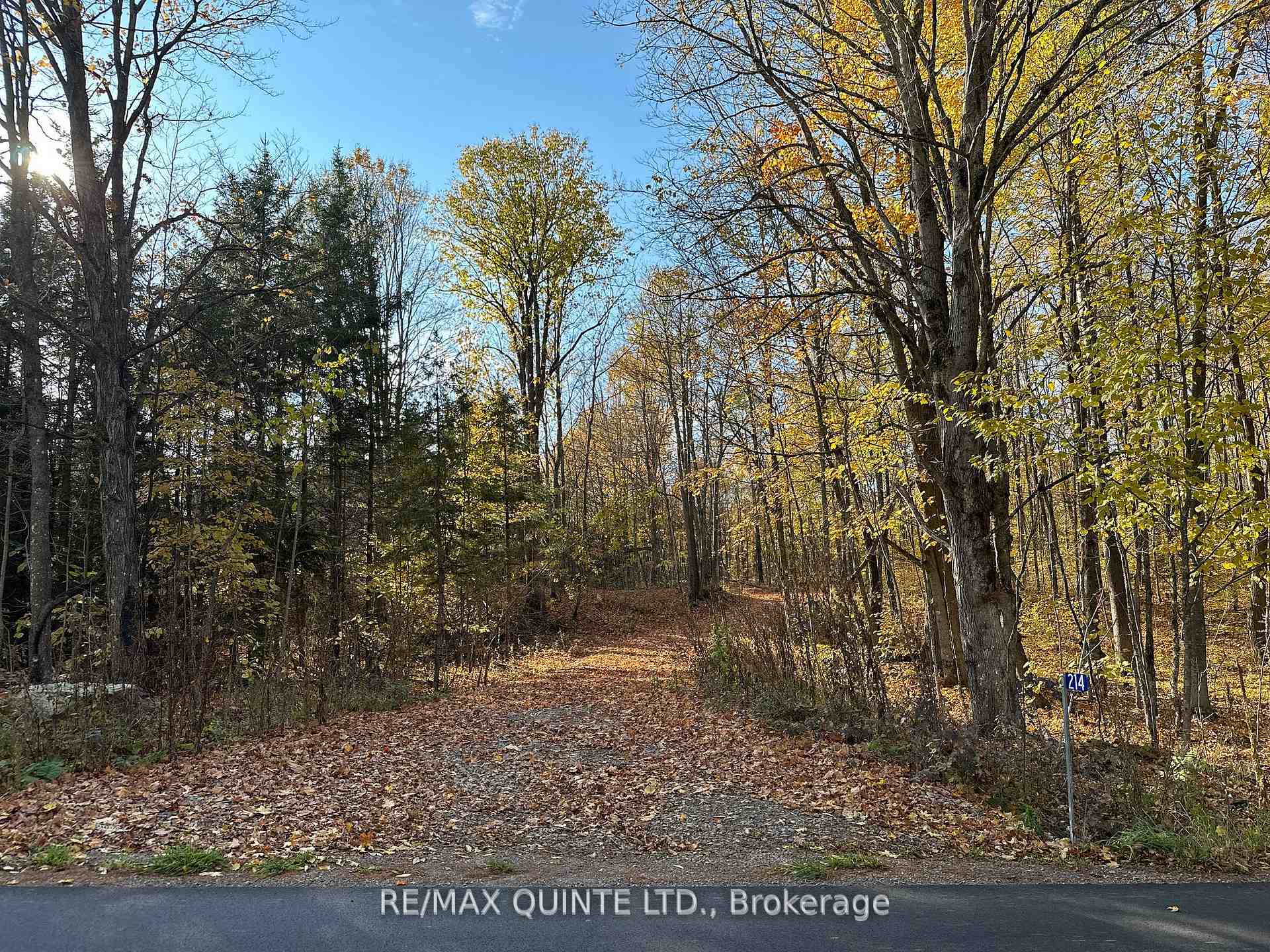 Photo 8 of 214 Riggs Road, Madoc — HOMEH