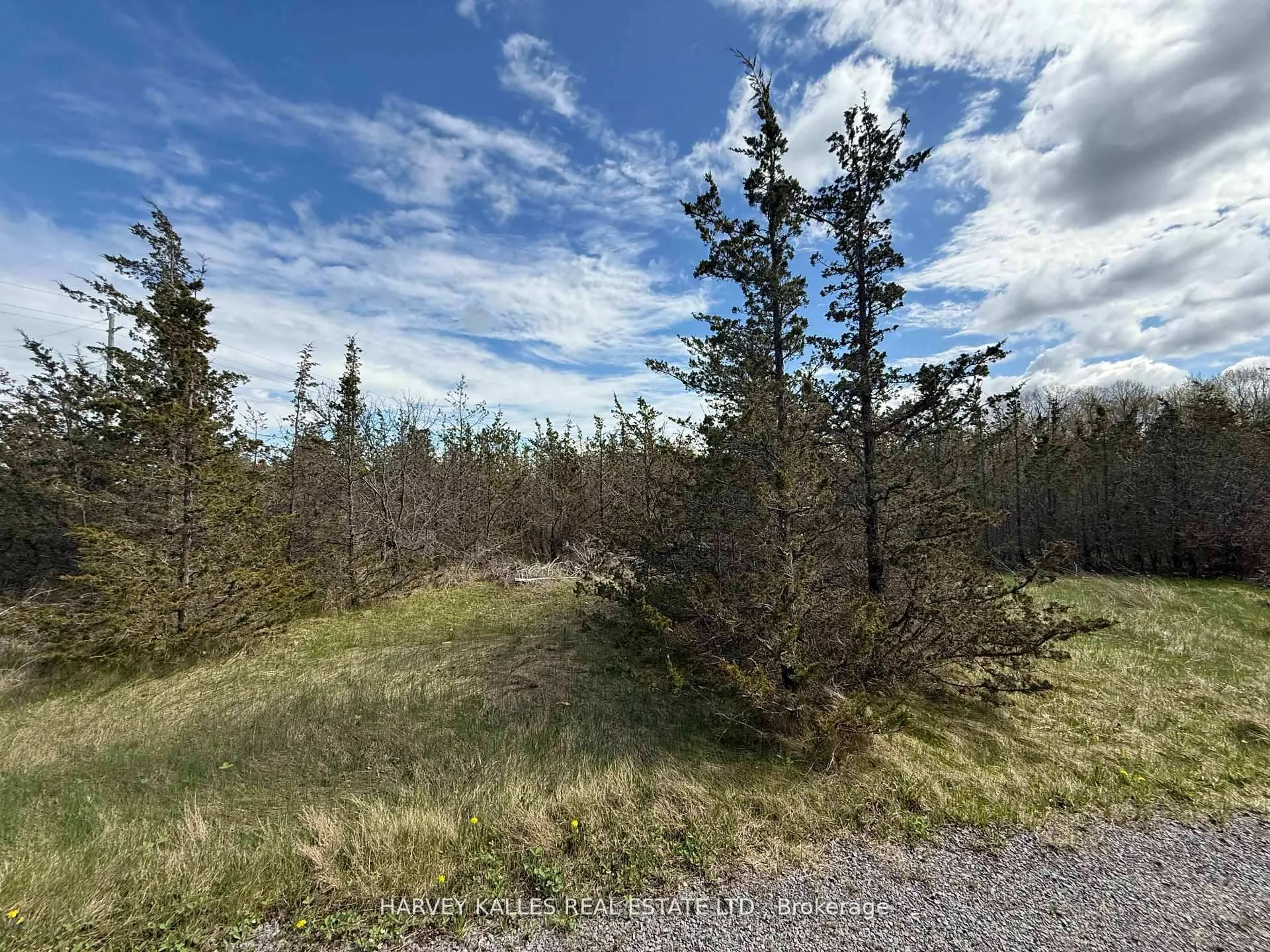 Photo 6 of 390 County Road 25, Prince Edward County, North Marysburg Ward — HOMEH
