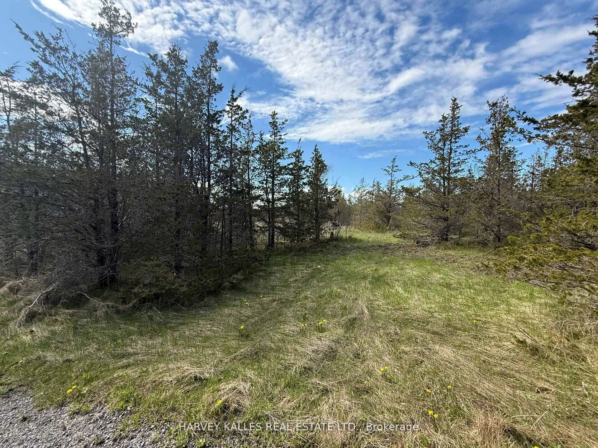 Photo 7 of 390 County Road 25, Prince Edward County, North Marysburg Ward — HOMEH