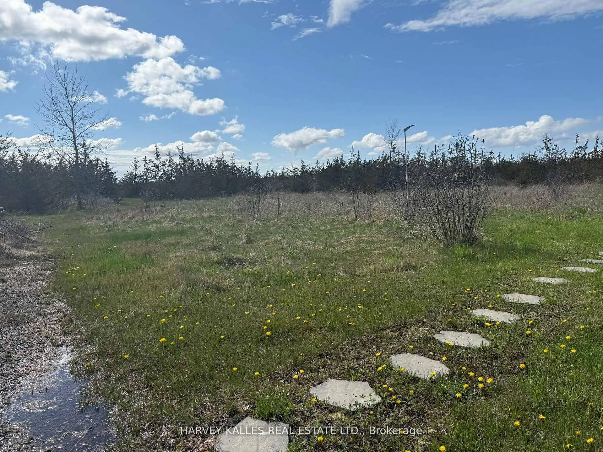 Photo 10 of 390 County Road 25, Prince Edward County, North Marysburg Ward — HOMEH