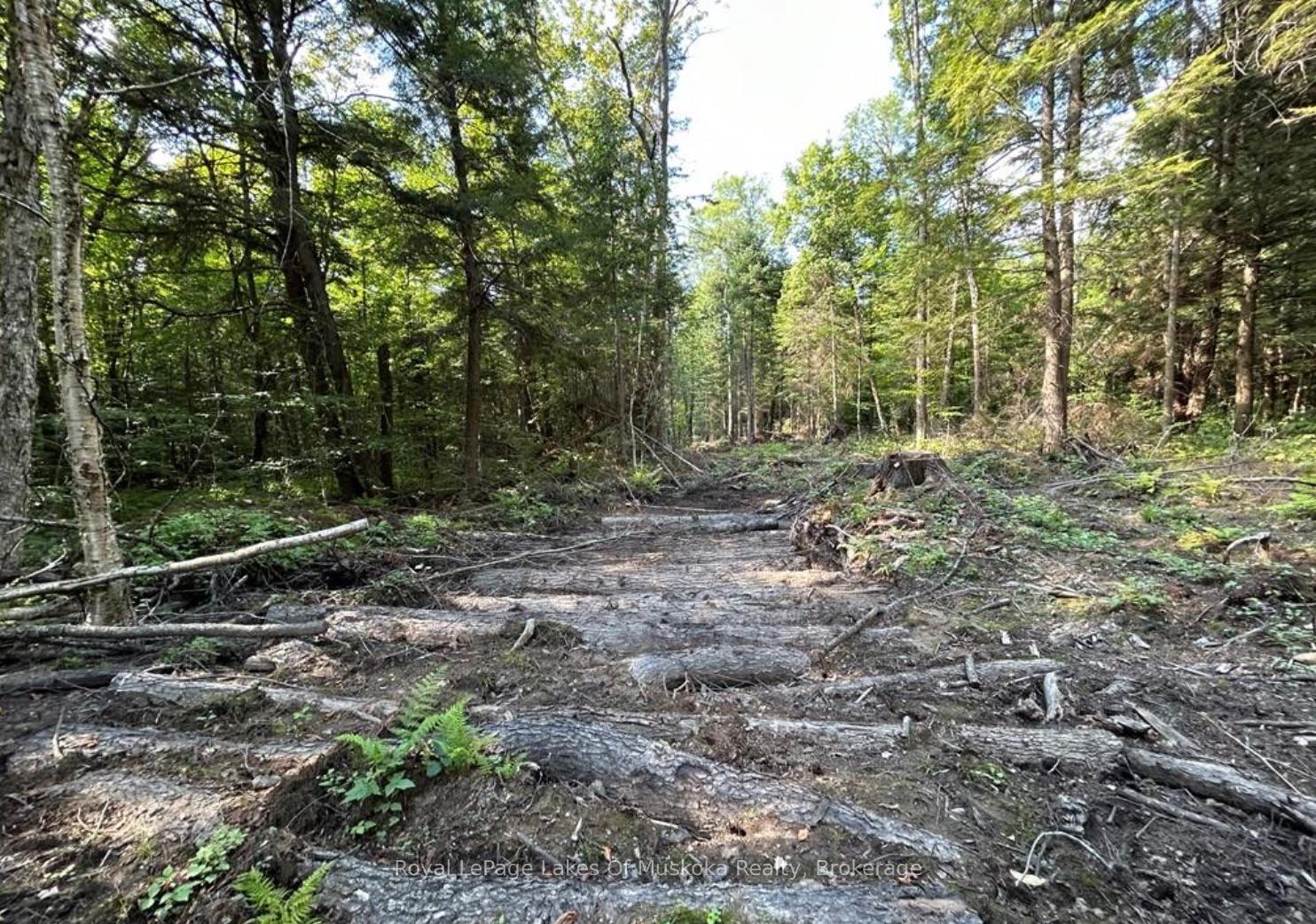 Photo 1 of LT31&33 Axe Lake Road, McMurrich/Monteith, McMurrich — HOMEH