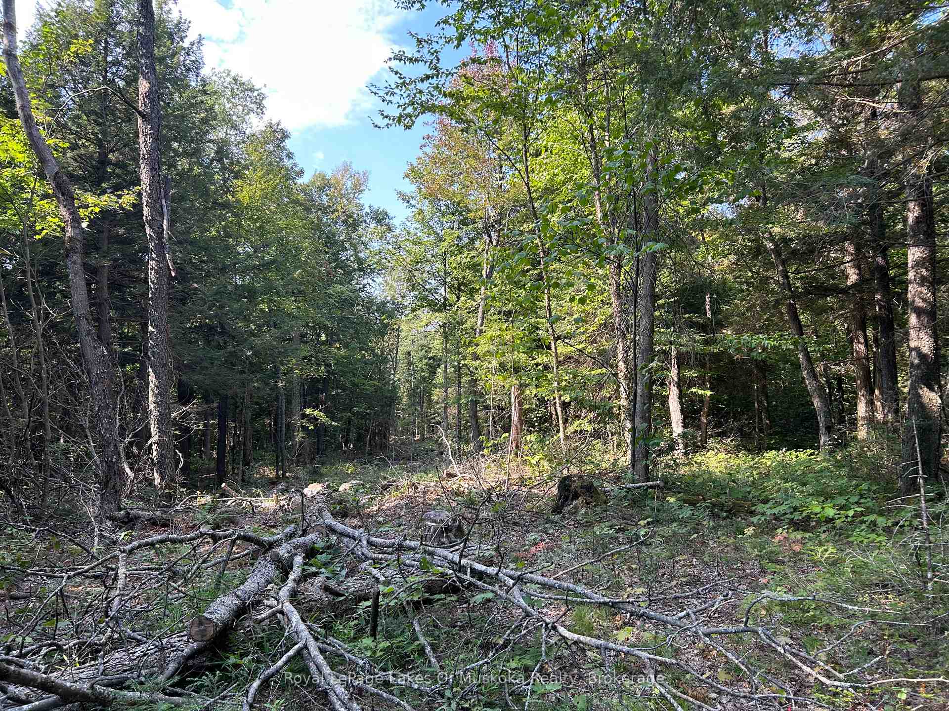 Photo 2 of LT31&33 Axe Lake Road, McMurrich/Monteith, McMurrich — HOMEH