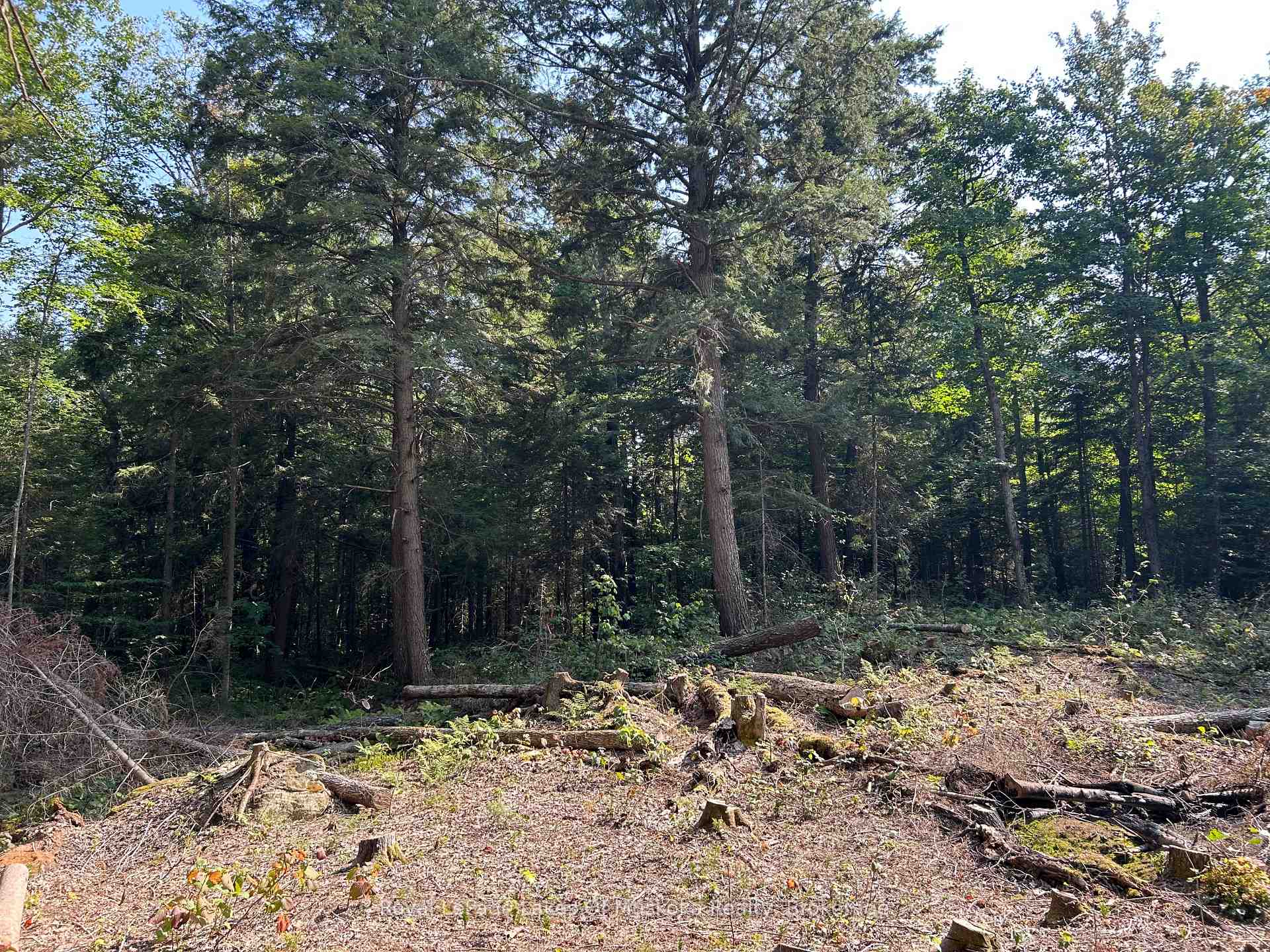 Photo 3 of LT31&33 Axe Lake Road, McMurrich/Monteith, McMurrich — HOMEH