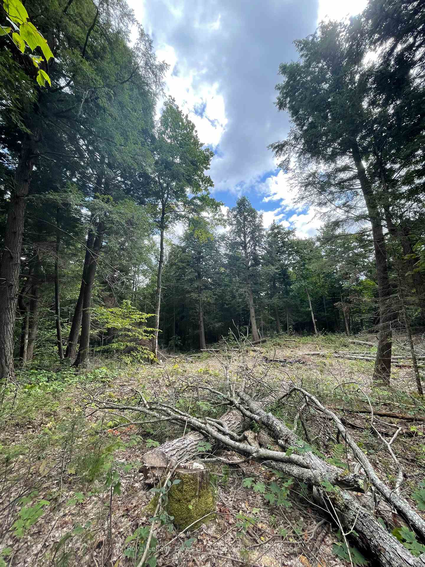 Photo 6 of LT31&33 Axe Lake Road, McMurrich/Monteith, McMurrich — HOMEH