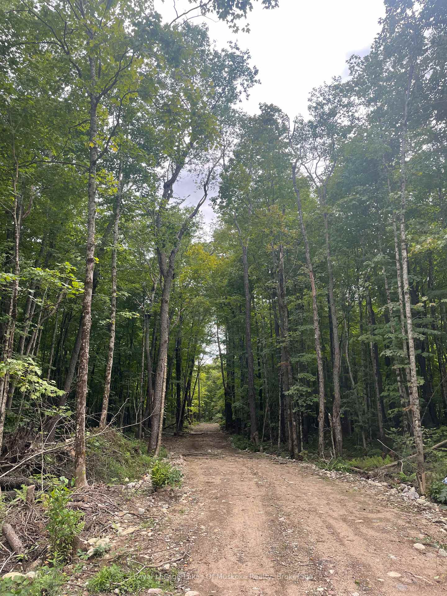 Photo 7 of LT31&33 Axe Lake Road, McMurrich/Monteith, McMurrich — HOMEH