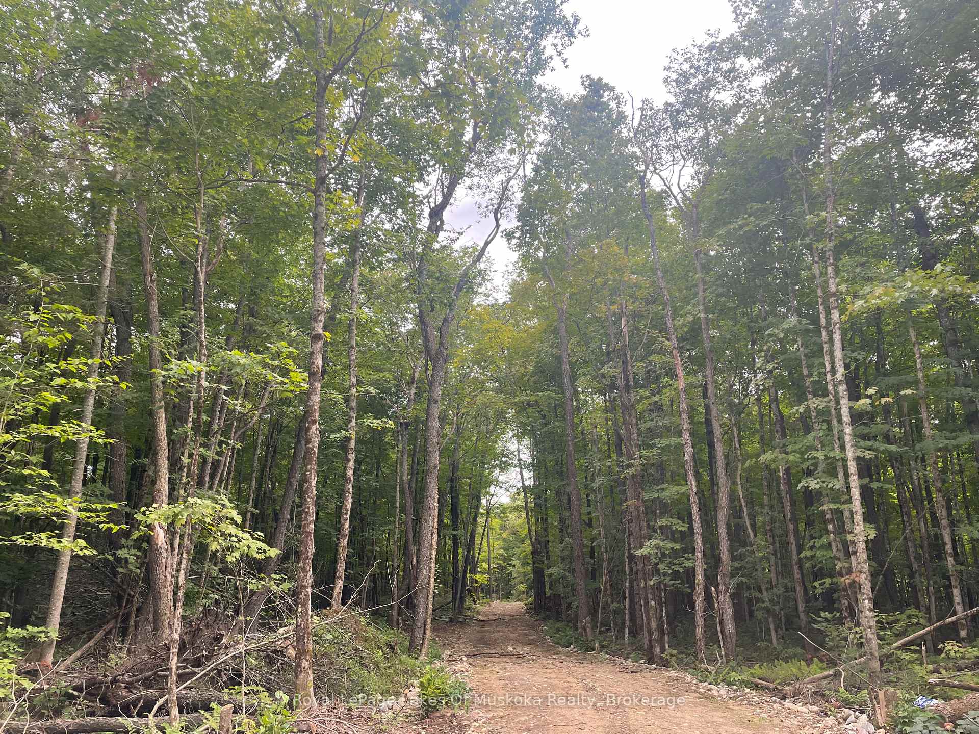 Photo 8 of LT31&33 Axe Lake Road, McMurrich/Monteith, McMurrich — HOMEH