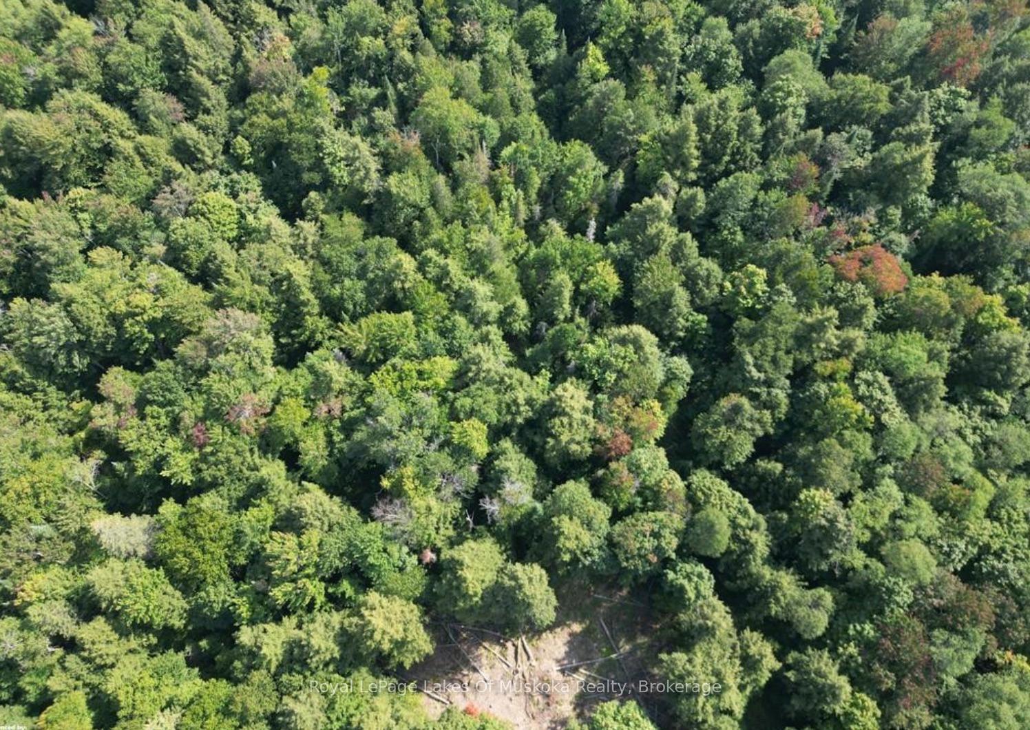 Photo 9 of LT31&33 Axe Lake Road, McMurrich/Monteith, McMurrich — HOMEH