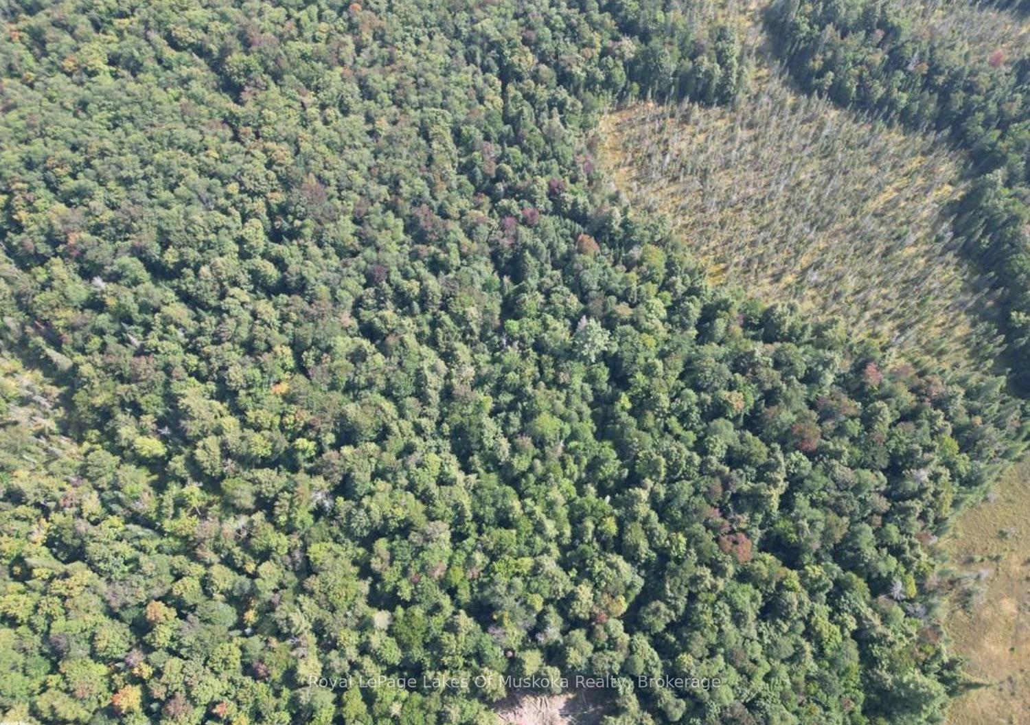 Photo 10 of LT31&33 Axe Lake Road, McMurrich/Monteith, McMurrich — HOMEH