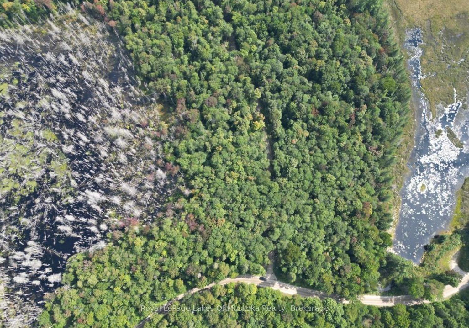 Photo 11 of LT31&33 Axe Lake Road, McMurrich/Monteith, McMurrich — HOMEH