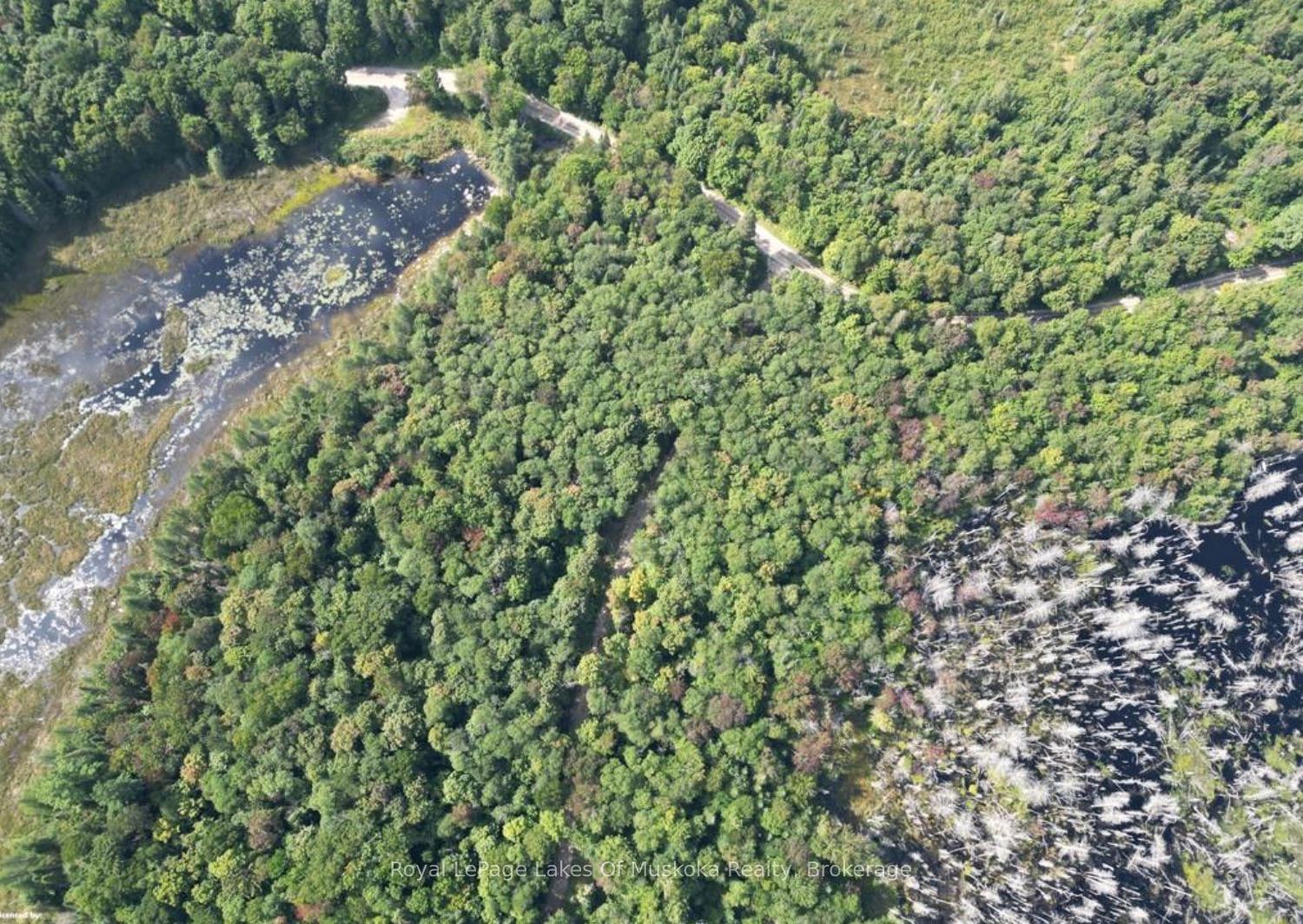 Photo 12 of LT31&33 Axe Lake Road, McMurrich/Monteith, McMurrich — HOMEH