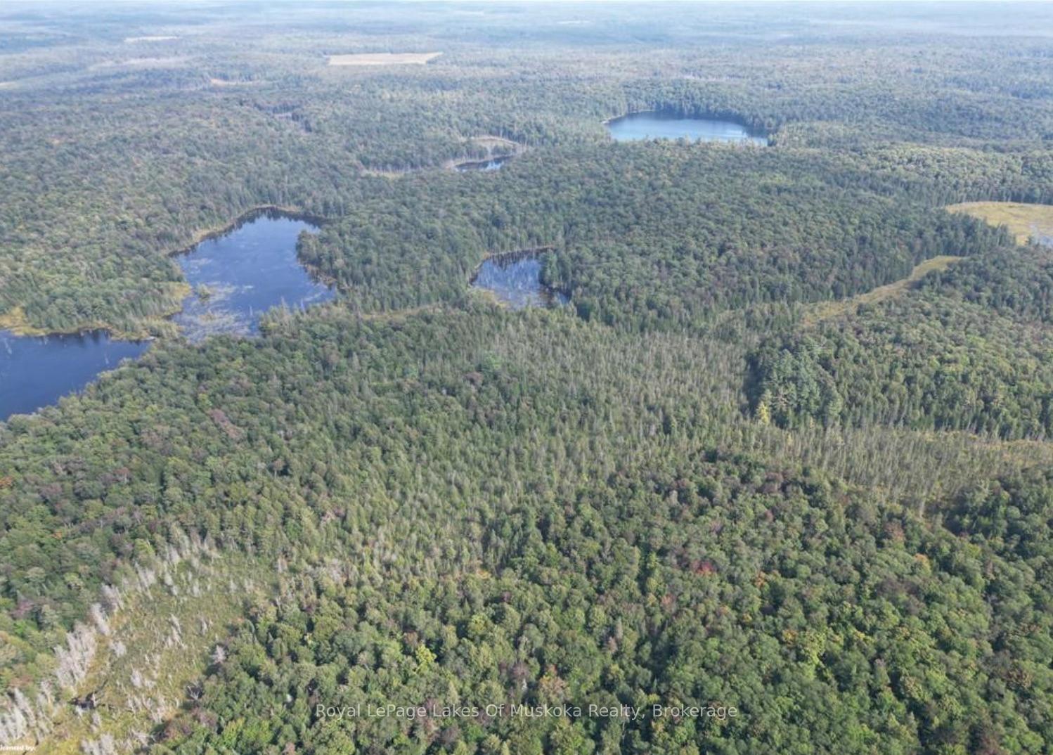Photo 13 of LT31&33 Axe Lake Road, McMurrich/Monteith, McMurrich — HOMEH