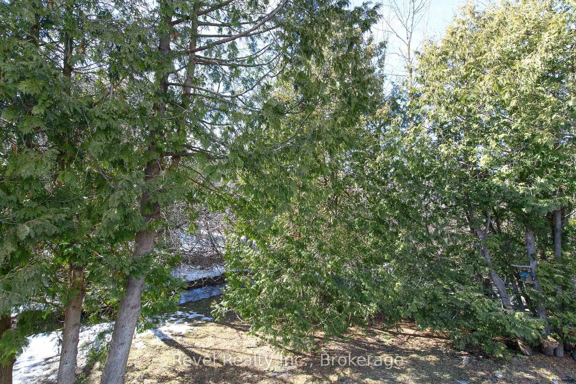 Photo 12 of 126 Escarpment Crescent, Collingwood — HOMEH