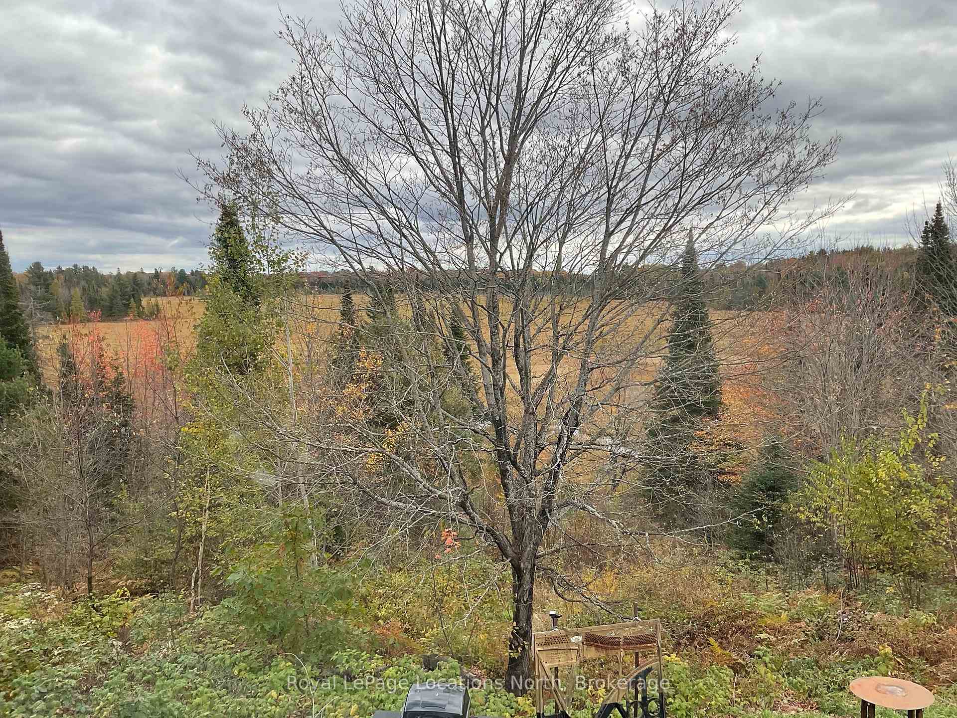 Photo 9 of 34 Pine Drive, McMurrich/Monteith, Sprucedale — HOMEH