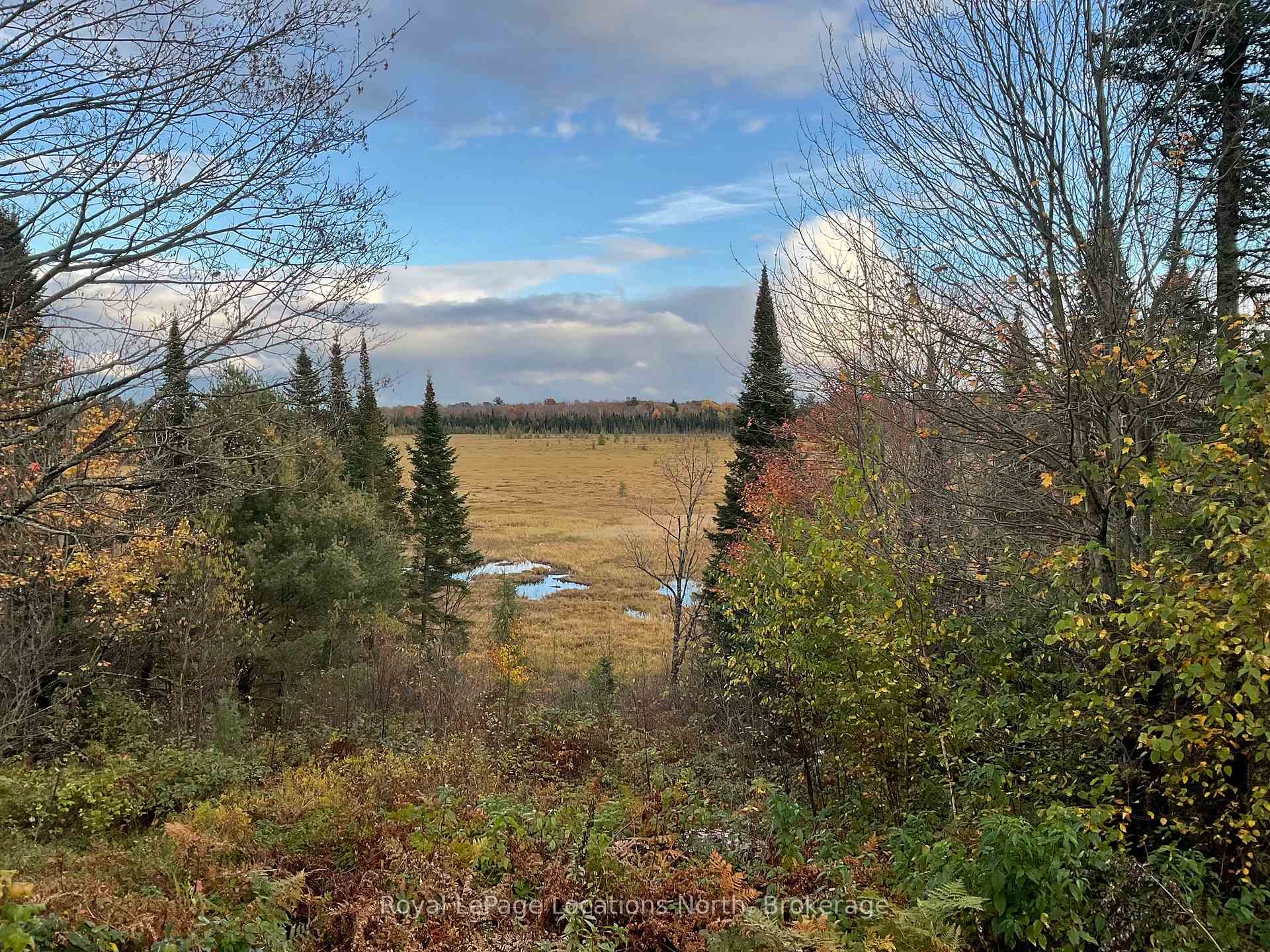 Photo 30 of 34 Pine Drive, McMurrich/Monteith, Sprucedale — HOMEH