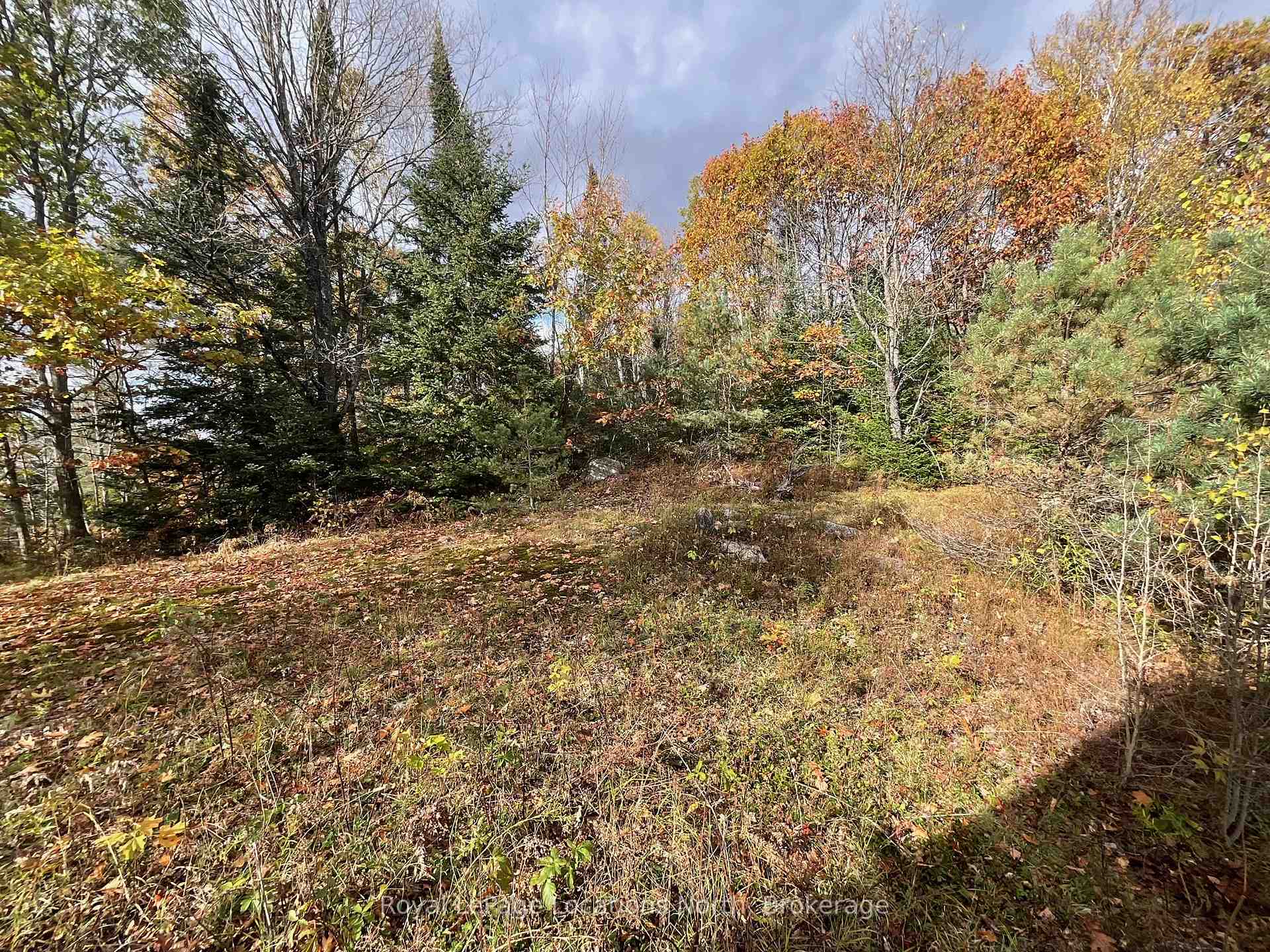 Photo 31 of 34 Pine Drive, McMurrich/Monteith, Sprucedale — HOMEH