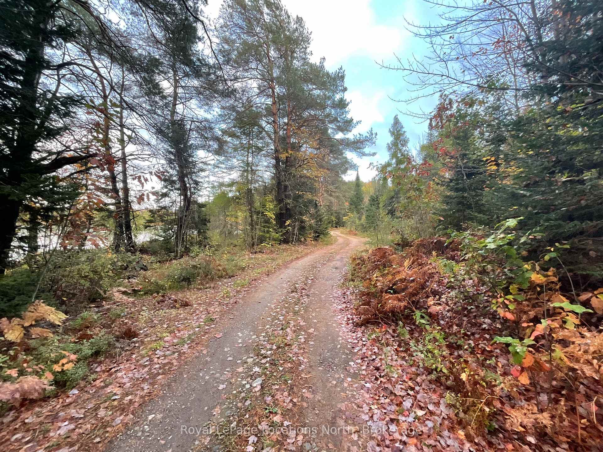 Photo 32 of 34 Pine Drive, McMurrich/Monteith, Sprucedale — HOMEH