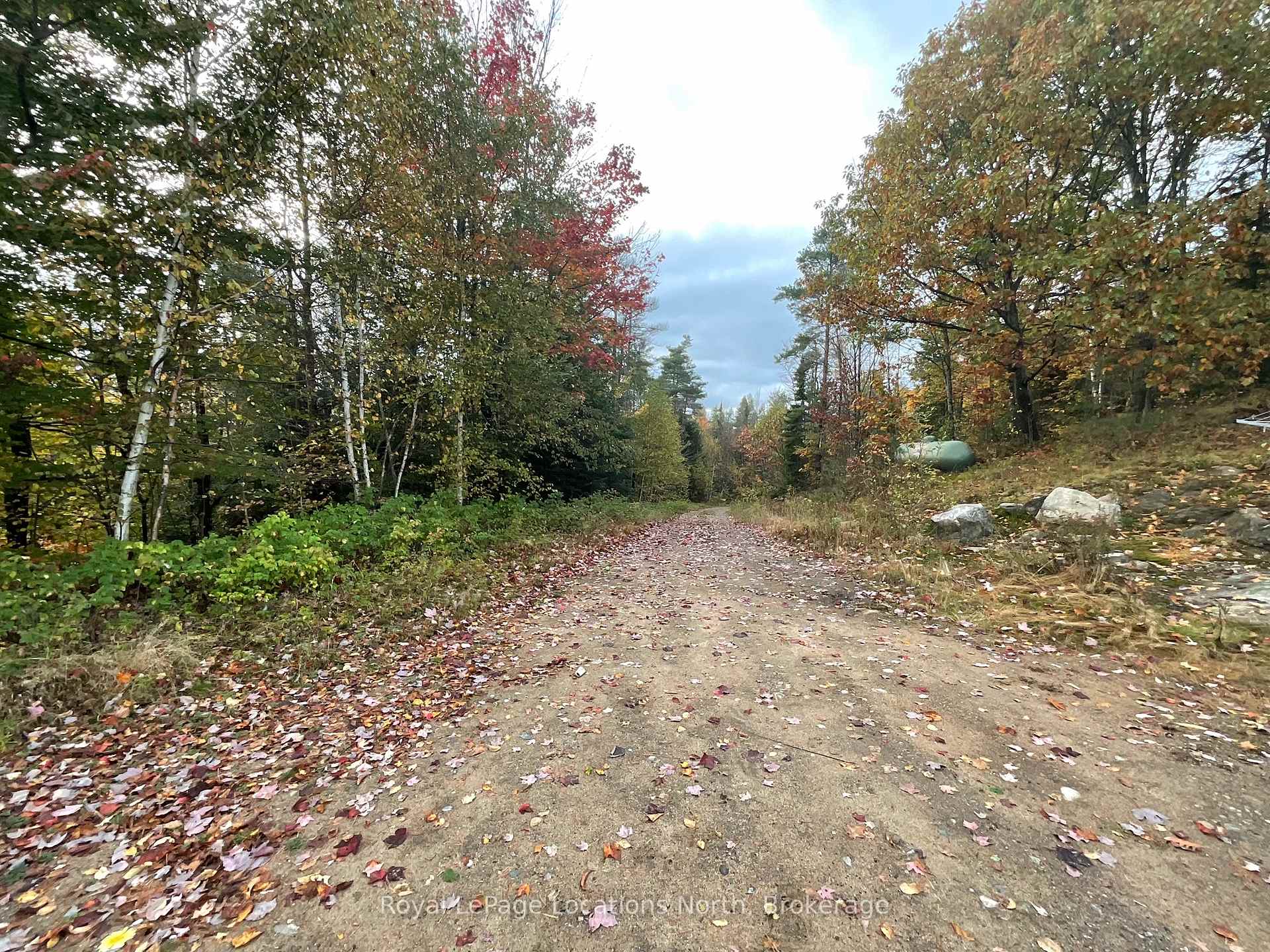 Photo 34 of 34 Pine Drive, McMurrich/Monteith, Sprucedale — HOMEH