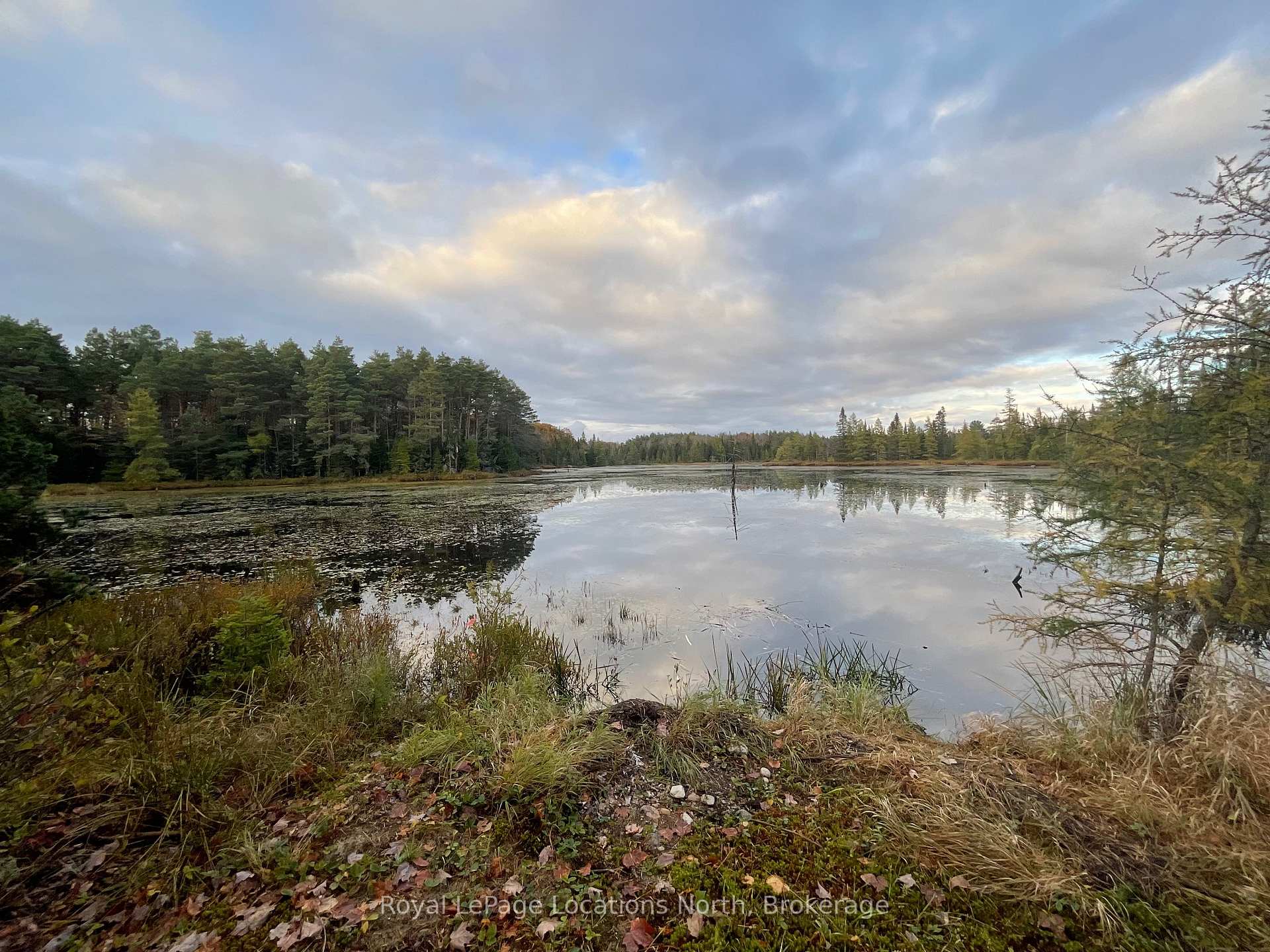 Photo 37 of 34 Pine Drive, McMurrich/Monteith, Sprucedale — HOMEH