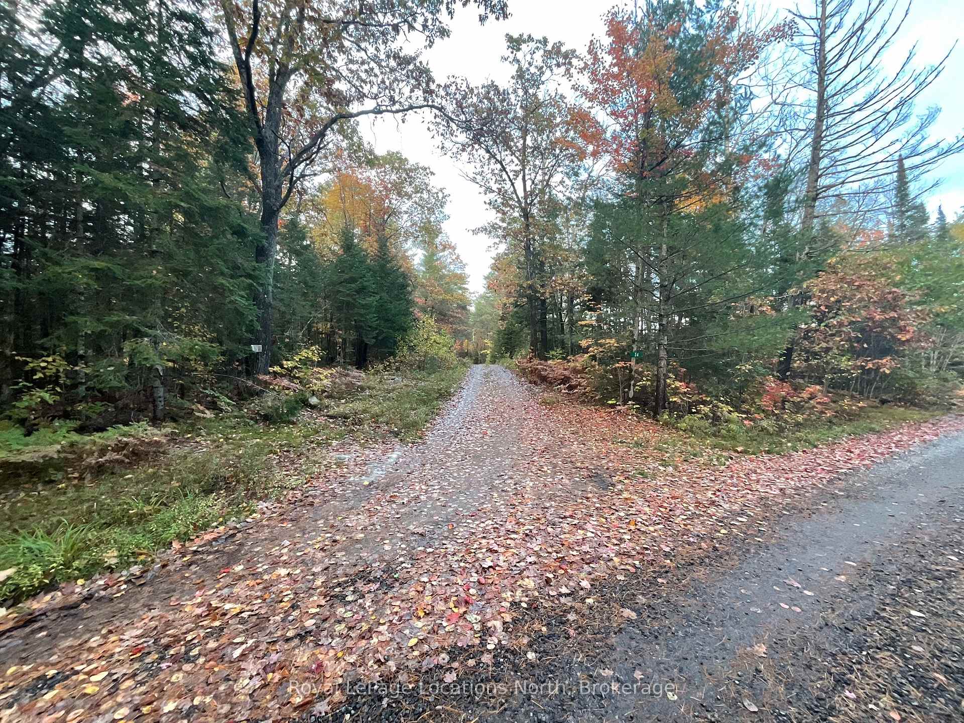 Photo 39 of 34 Pine Drive, McMurrich/Monteith, Sprucedale — HOMEH