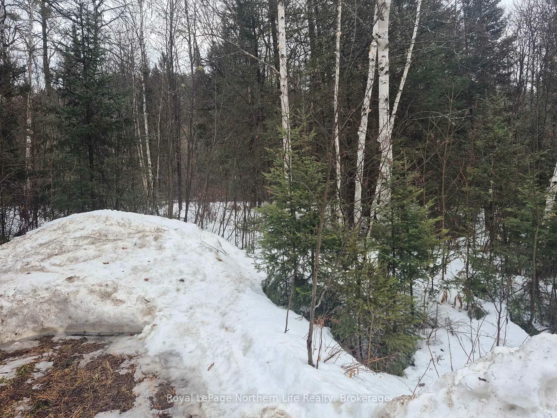 Photo 2 of 67 Arbutus Trail, Mattawan — HOMEH