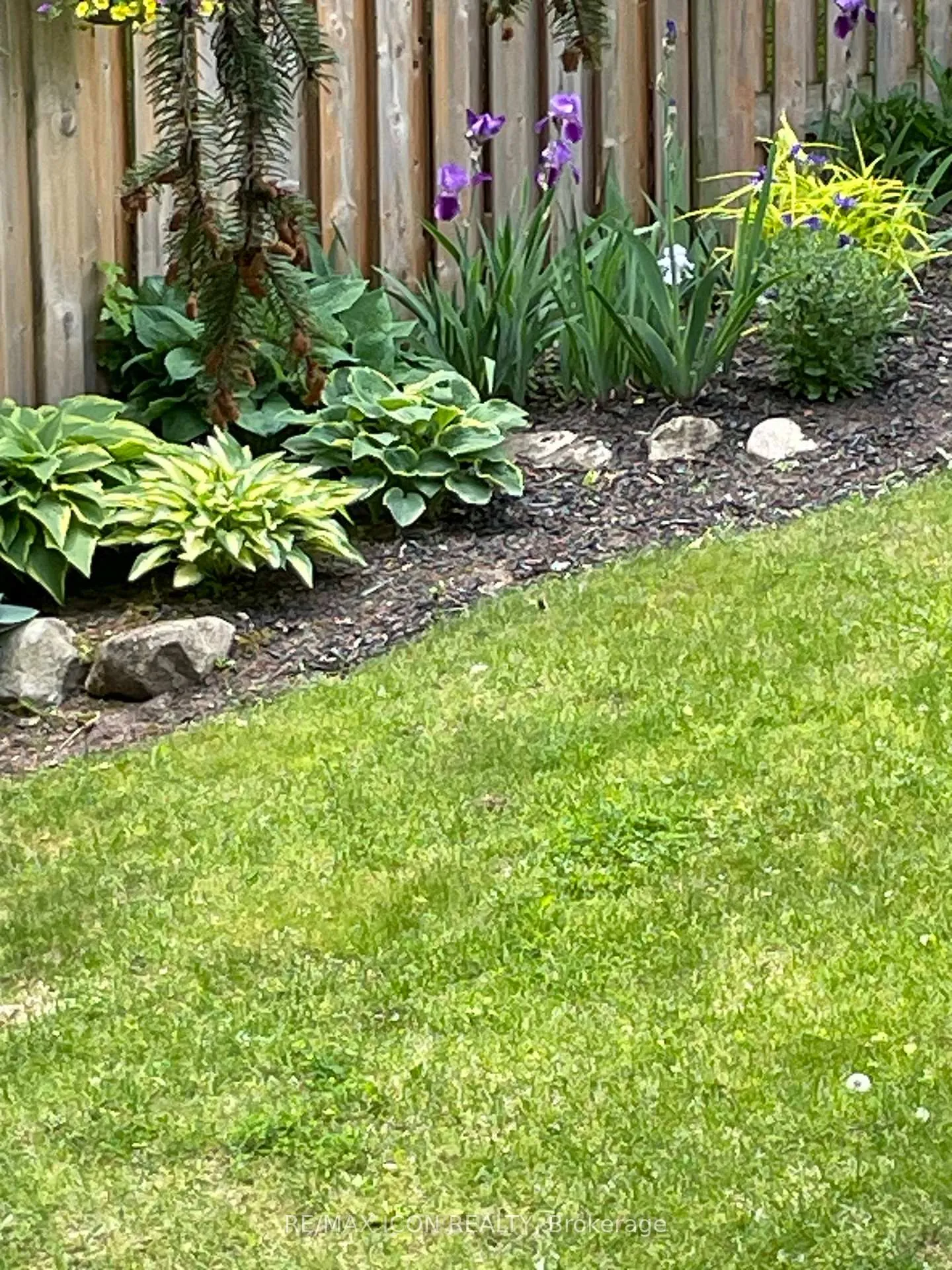 Photo 43 of 33 Joseph Street, Guelph, St. George's — HOMEH