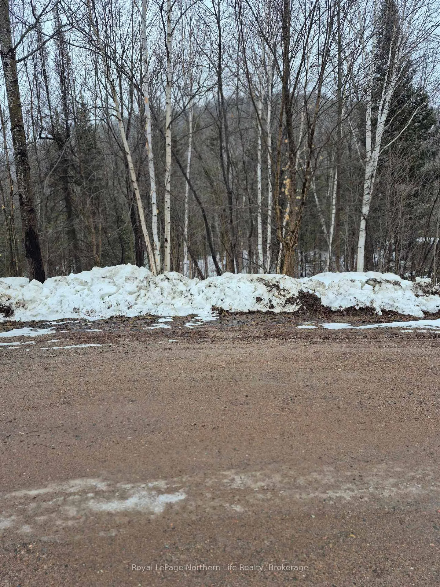 Photo 1 of LOT 5 Arbutus Trail, Mattawan — HOMEH