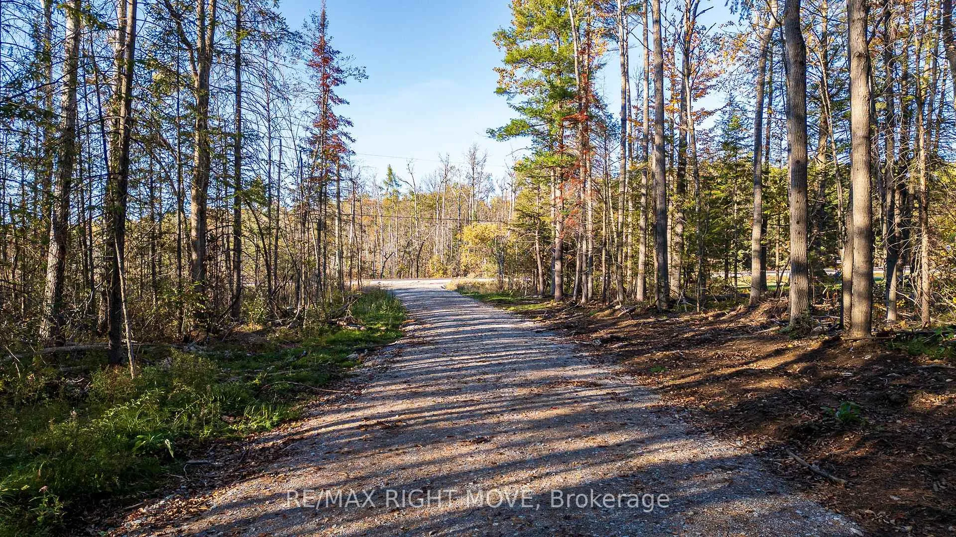 Photo 3 of 2085 Monck Road, Ramara, Rural Ramara — HOMEH