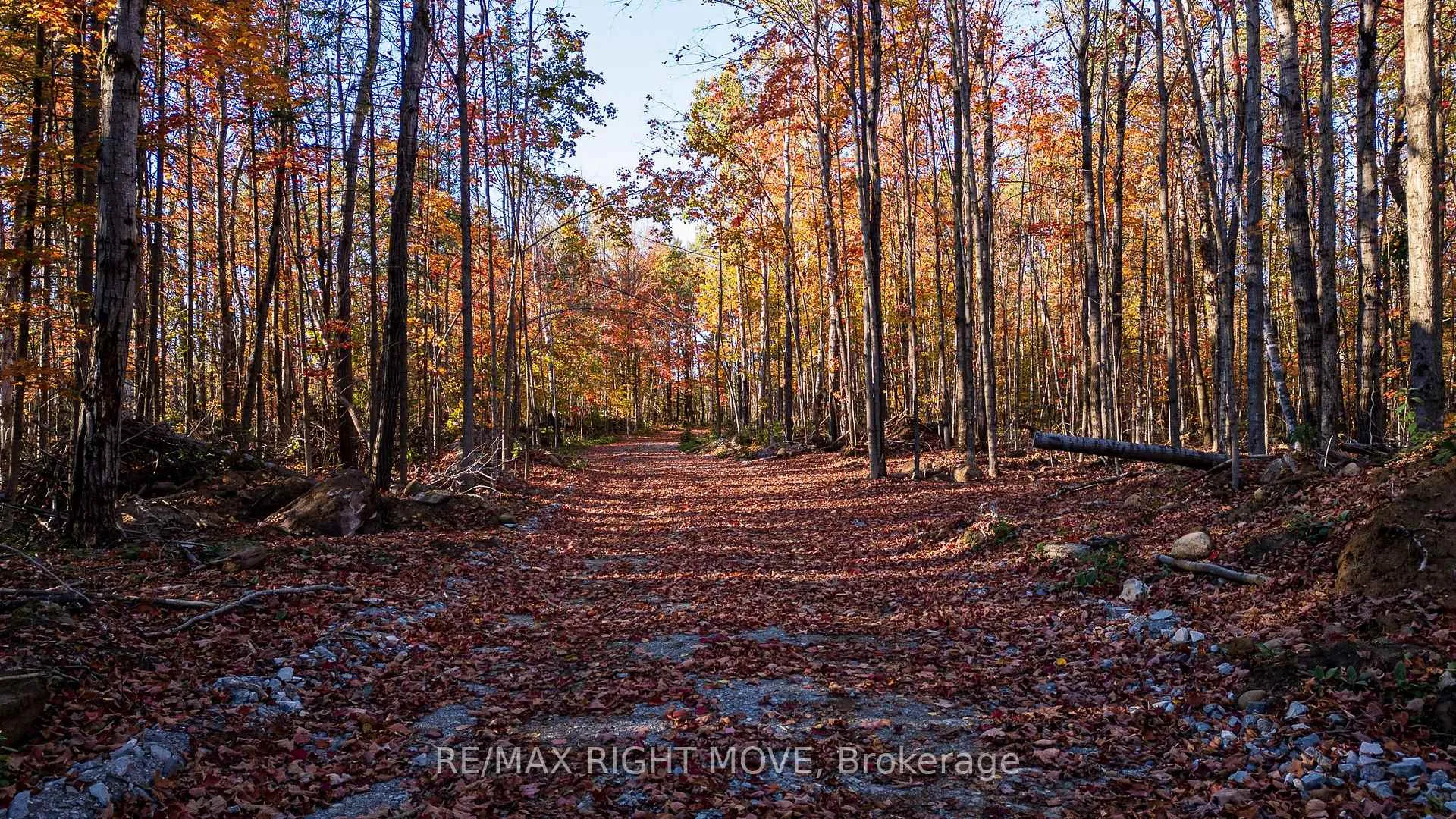 Photo 4 of 2085 Monck Road, Ramara, Rural Ramara — HOMEH