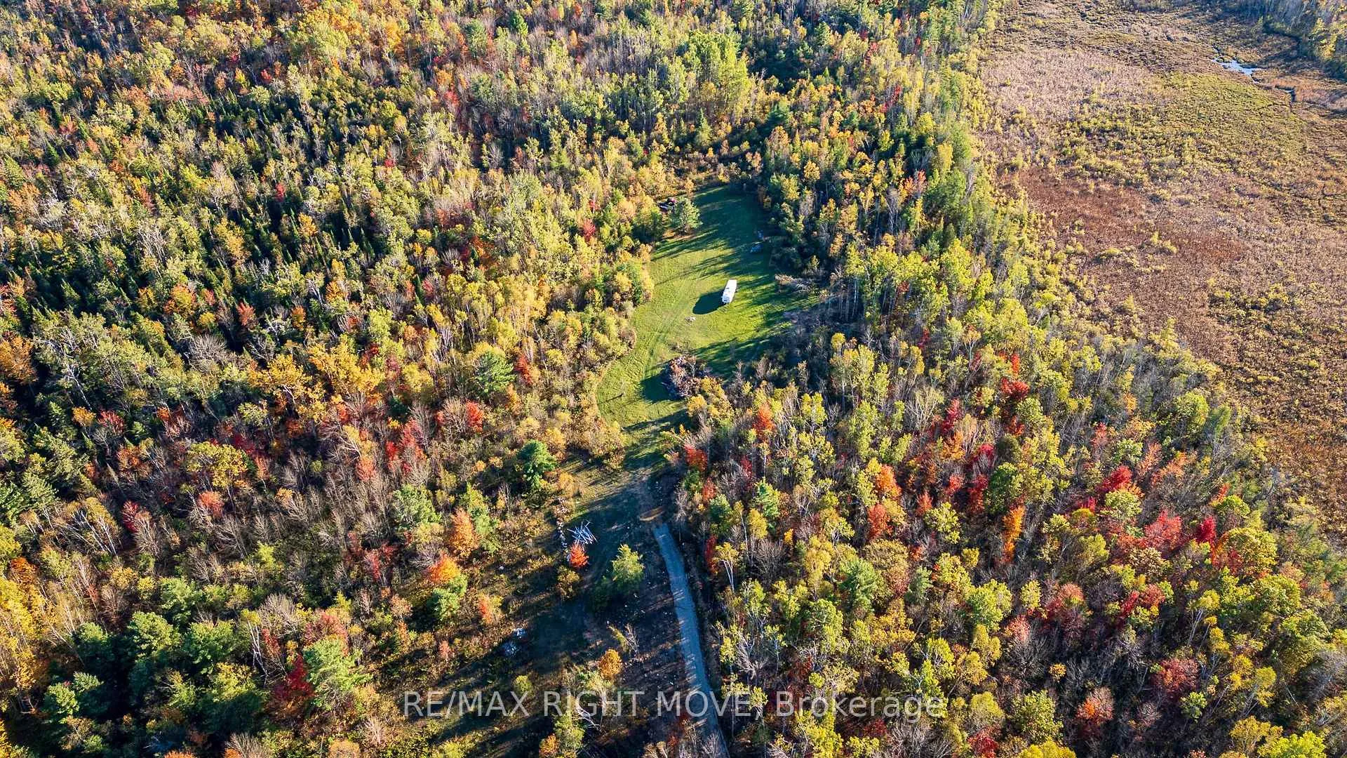 Photo 5 of 2085 Monck Road, Ramara, Rural Ramara — HOMEH
