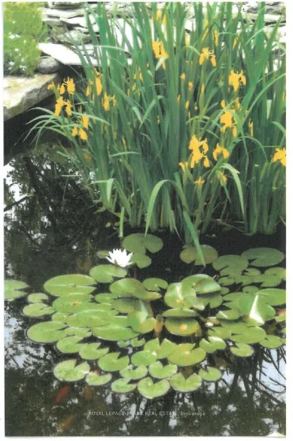 Photo 35 of 491 Chamberlain Street, Peterborough, Town Ward 3 — HOMEH