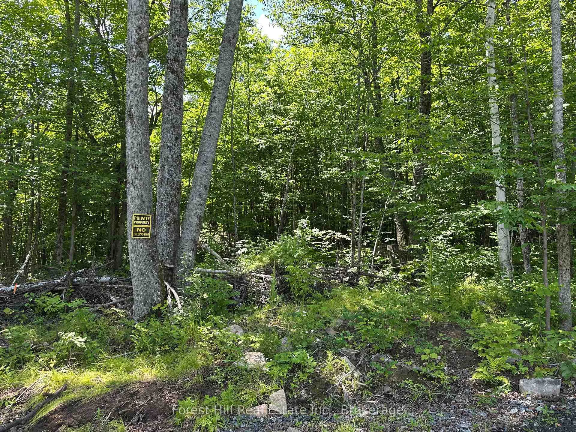 Photo 3 of 0-3 Jacks Lake, Parry Sound Remote Area, Golden Valley — HOMEH