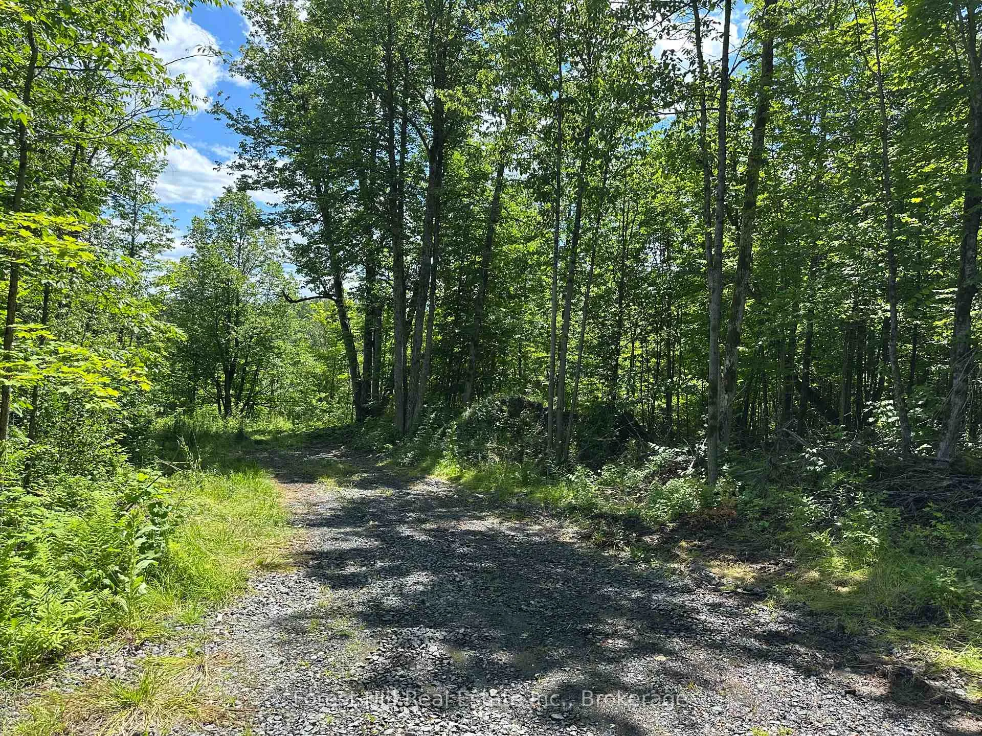 Photo 4 of 0-3 Jacks Lake, Parry Sound Remote Area, Golden Valley — HOMEH