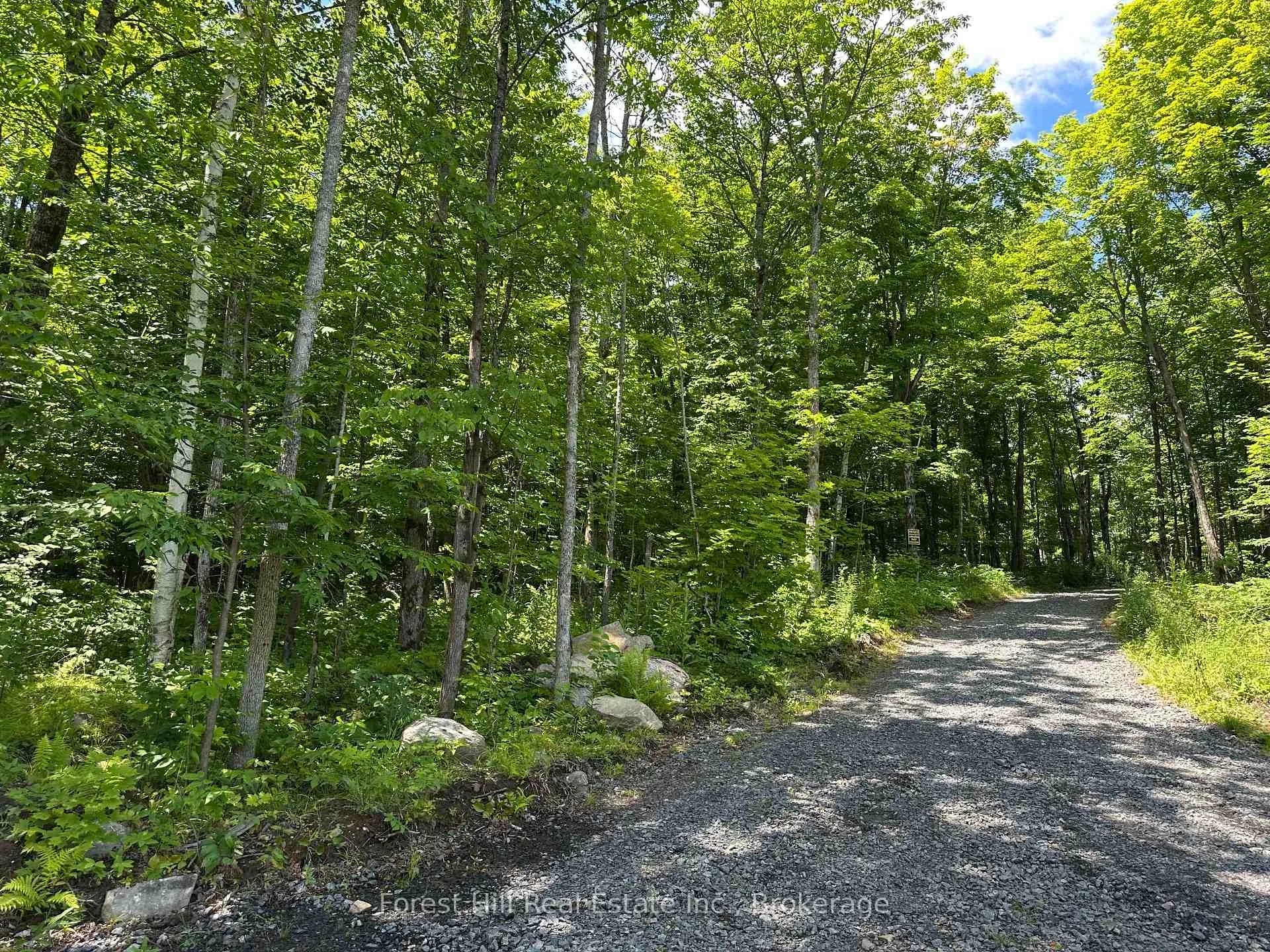 Photo 5 of 0-3 Jacks Lake, Parry Sound Remote Area, Golden Valley — HOMEH