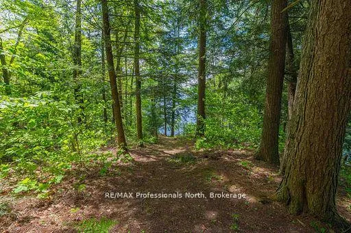 Photo 30 of 1023 Maiden Trail, Minden Hills, Lutterworth — HOMEH