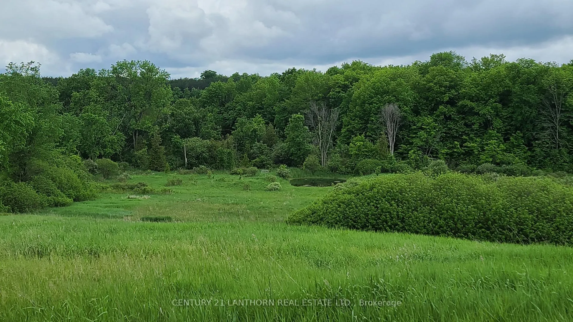 Photo 47 of 3525 Highway 37, Belleville, Thurlow Ward — HOMEH