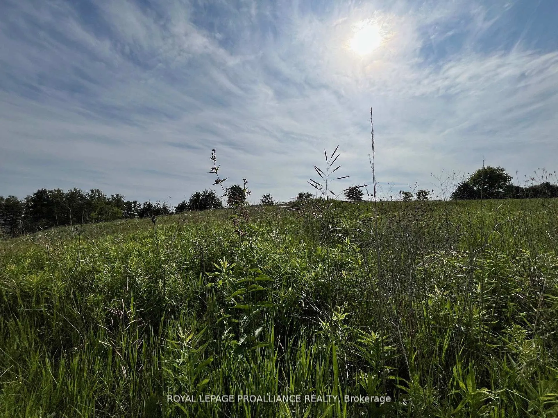 Photo 4 of Lot 24 McCarty Drive, Cobourg — HOMEH