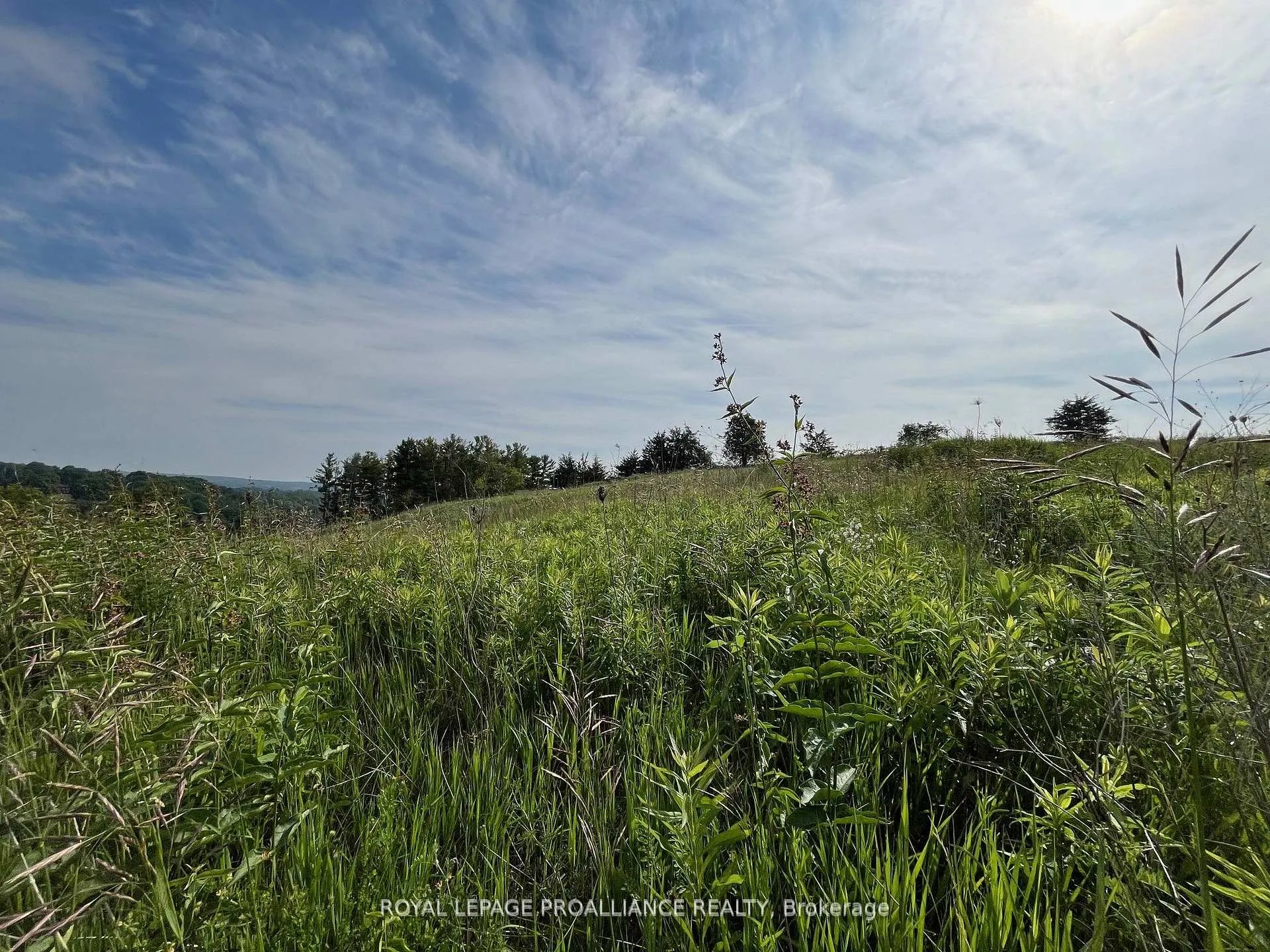 Photo 5 of Lot 24 McCarty Drive, Cobourg — HOMEH