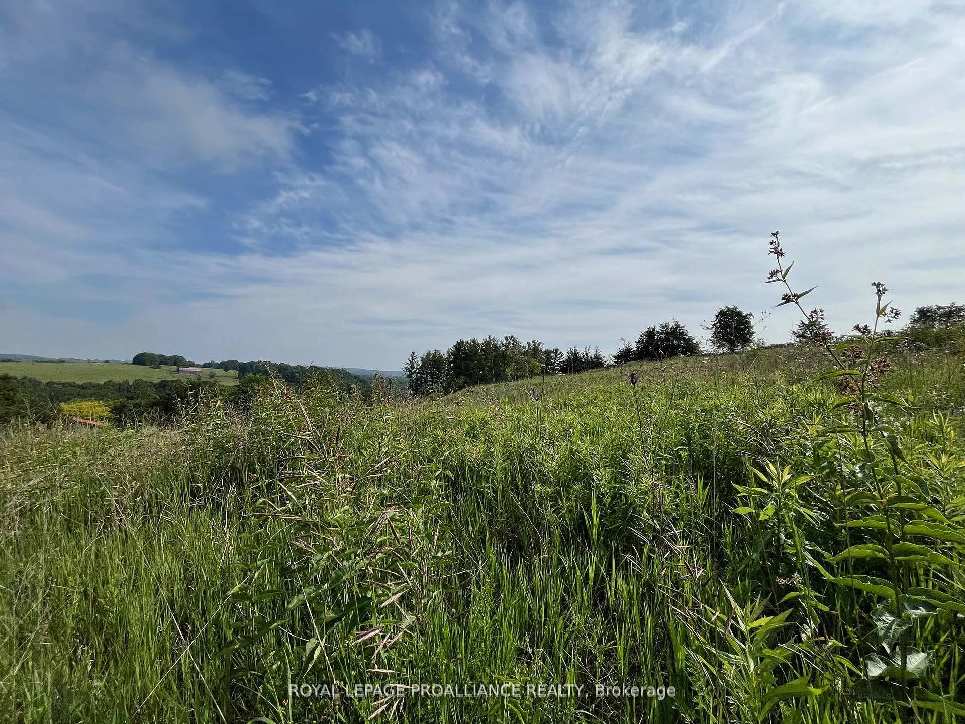 Photo 6 of Lot 24 McCarty Drive, Cobourg — HOMEH