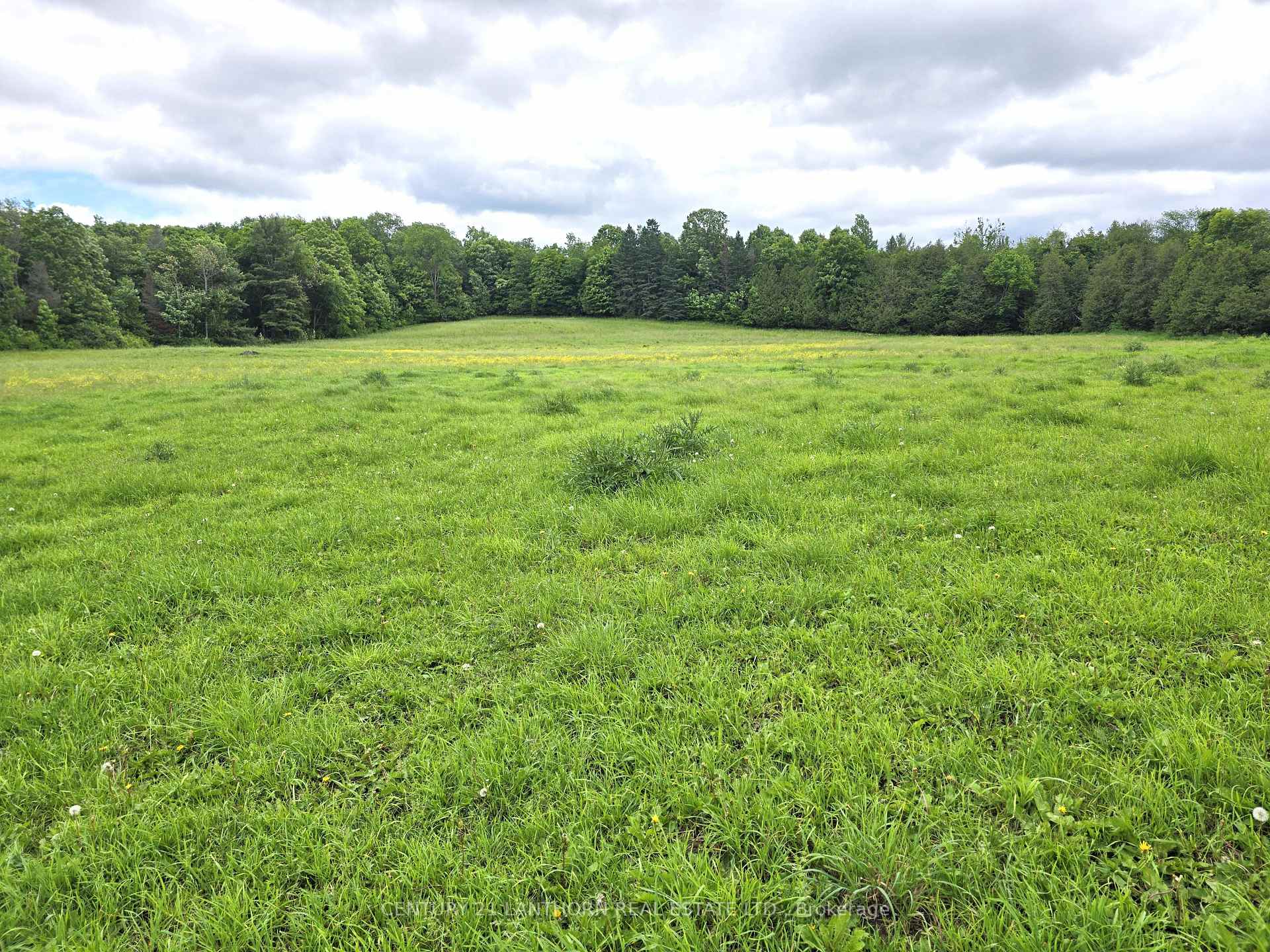 Photo 35 of 2830 Deloro Road, Madoc — HOMEH