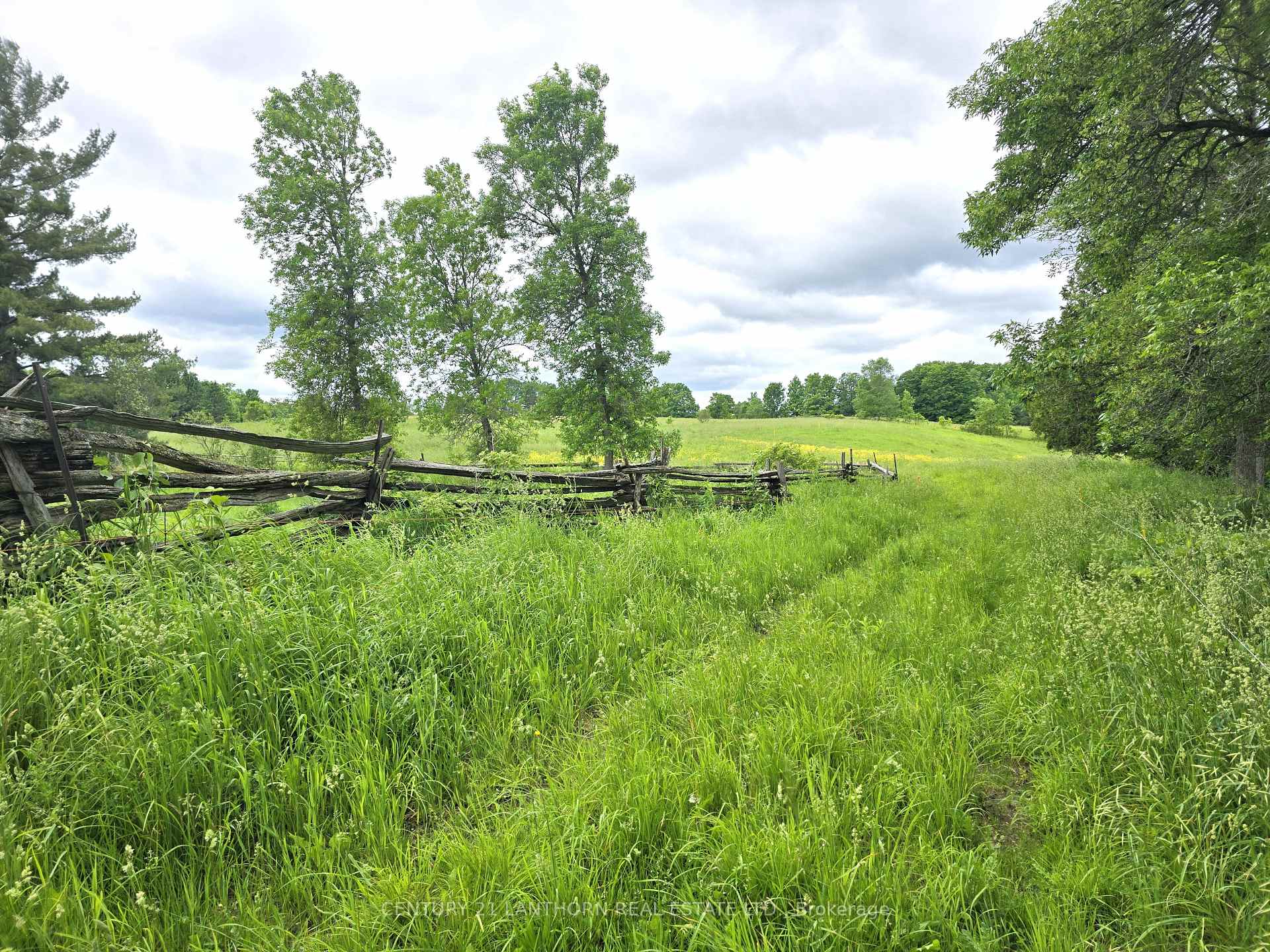 Photo 36 of 2830 Deloro Road, Madoc — HOMEH