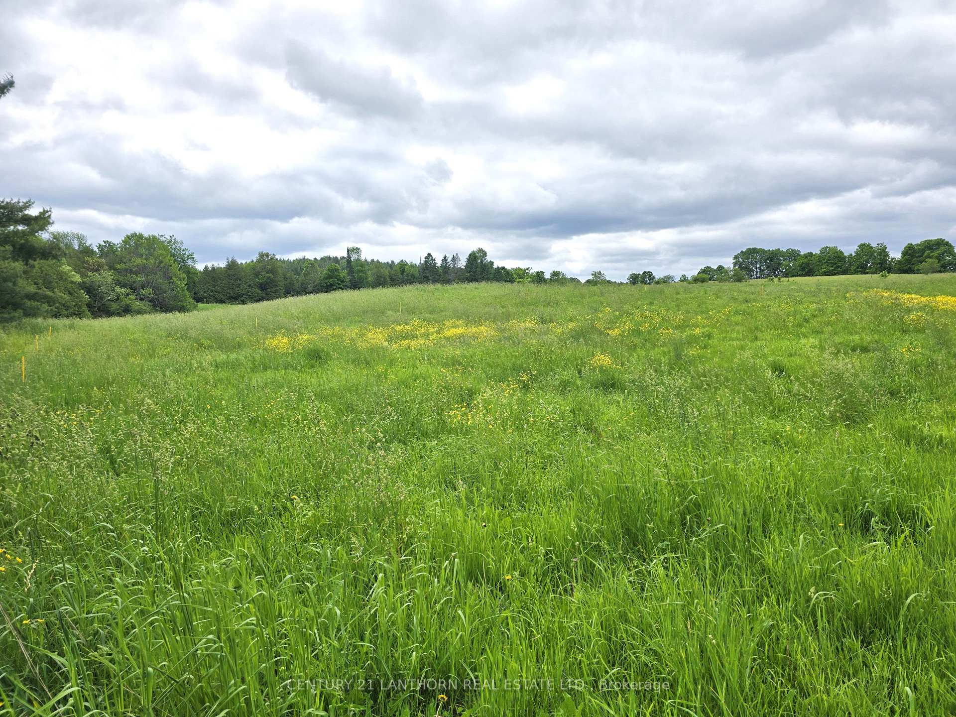 Photo 37 of 2830 Deloro Road, Madoc — HOMEH
