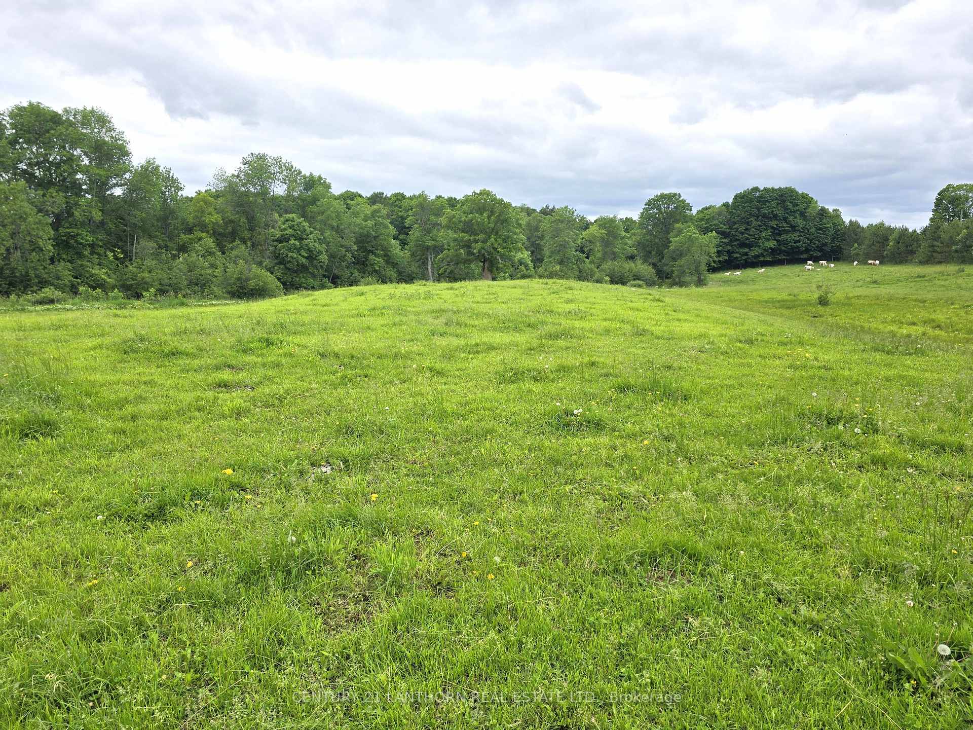 Photo 38 of 2830 Deloro Road, Madoc — HOMEH