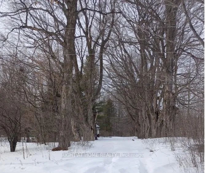 Photo 6 of 3686 Maple Avenue, Augusta, Augusta Twp — HOMEH