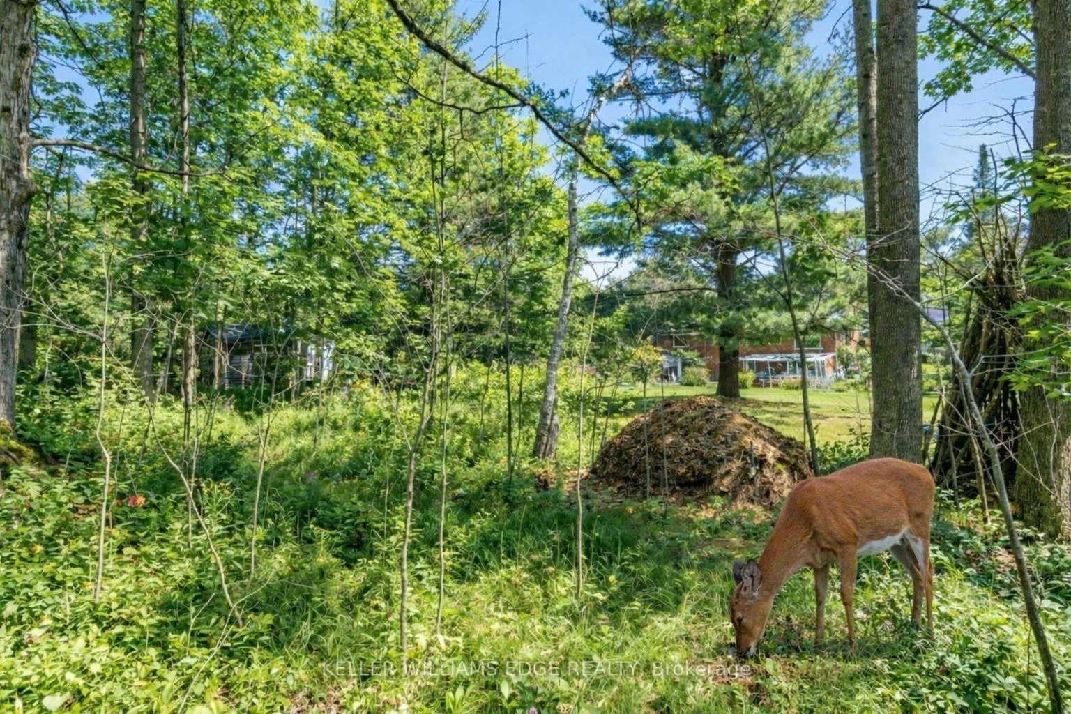 Photo 39 of 5600 Cedar Springs Road, Burlington, Rural Burlington — HOMEH