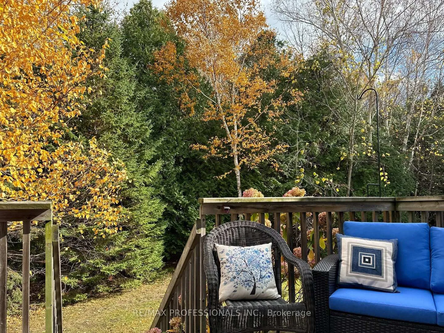 Photo 27 of 57 Green Briar Drive, Collingwood — HOMEH