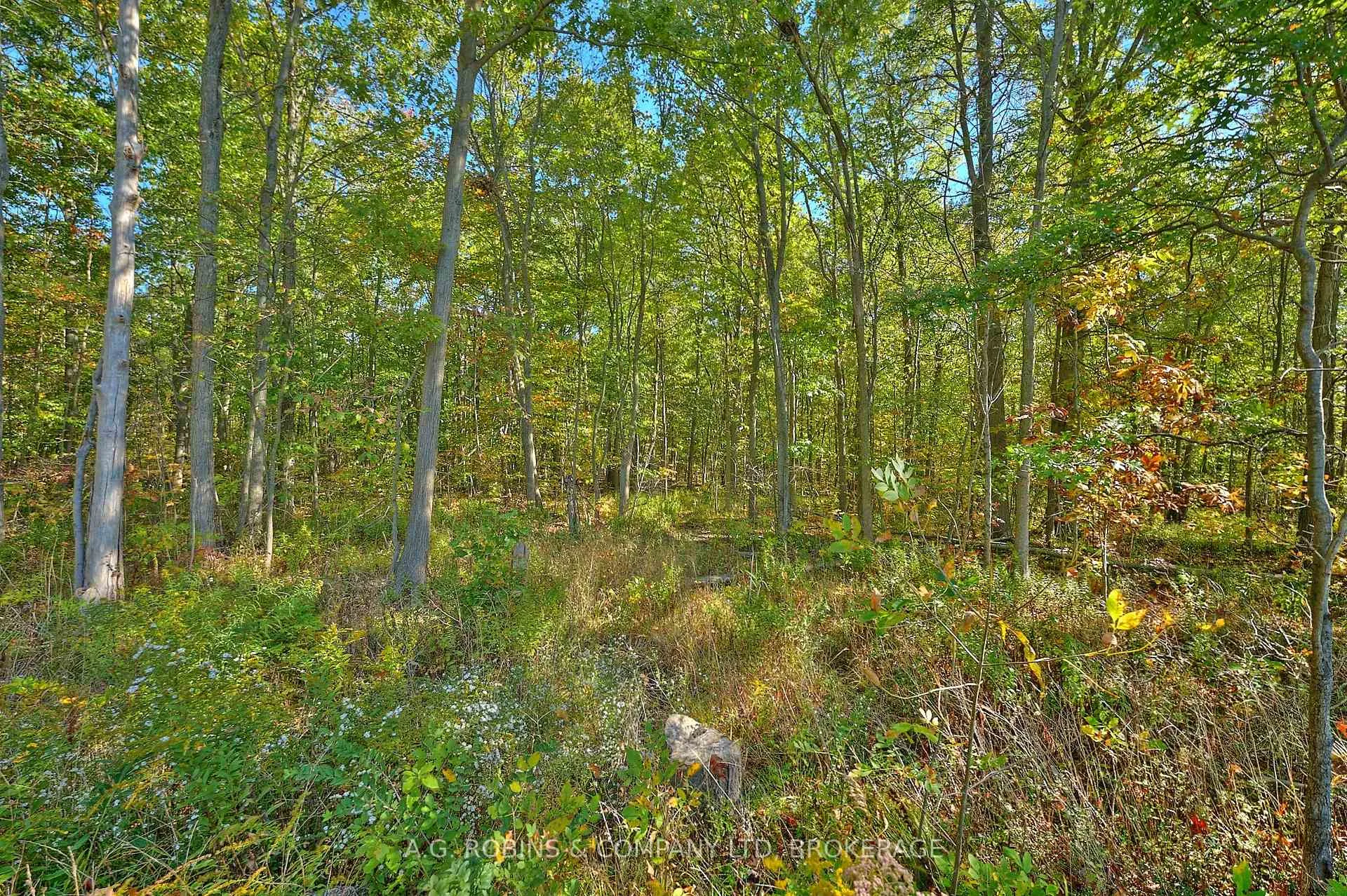 Photo 8 of 14440 McKenney Road, Niagara Falls, Schisler — HOMEH